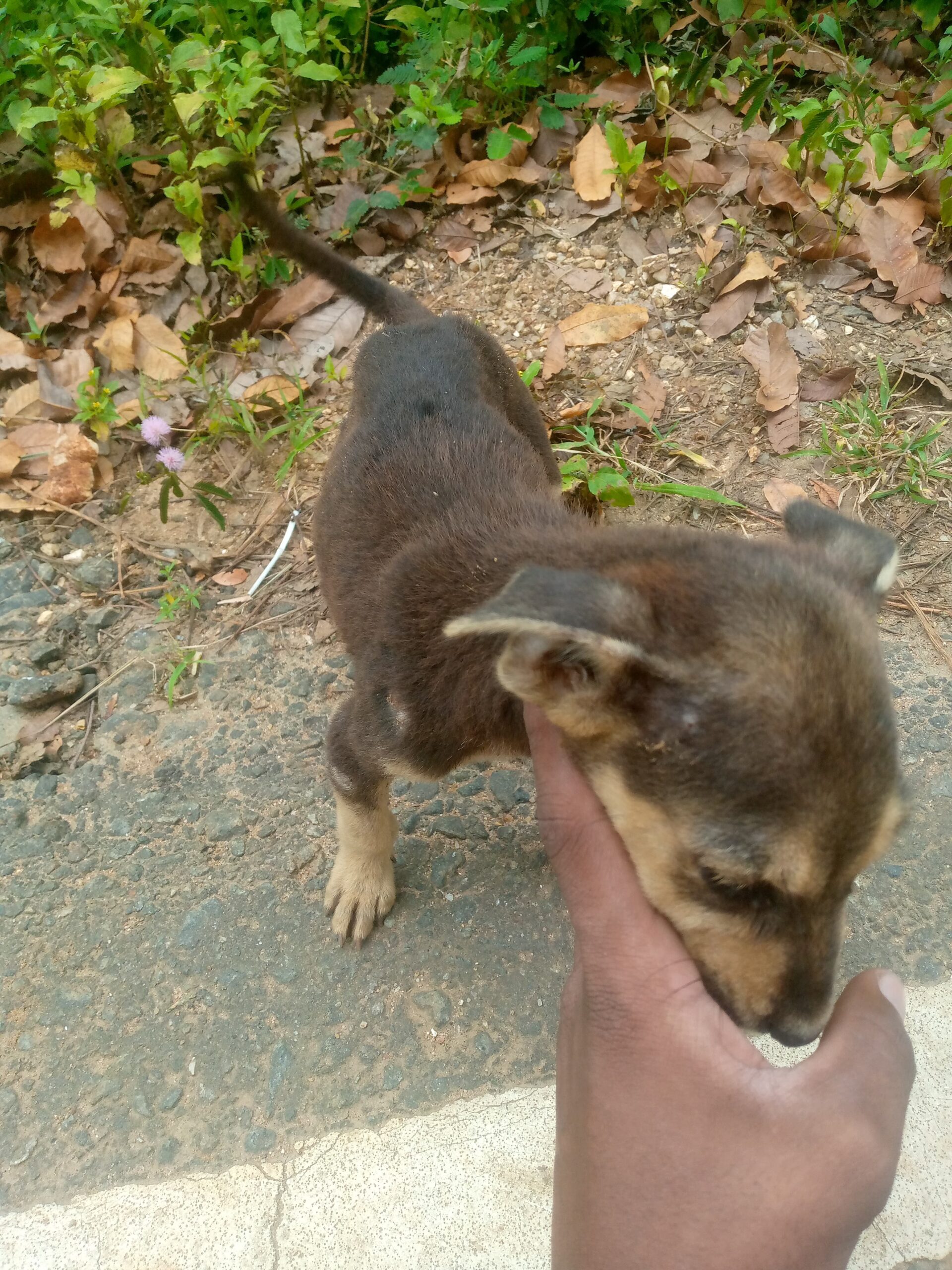 WhatsApp Image 2025-02-15 at 11.47.20 AM (1)