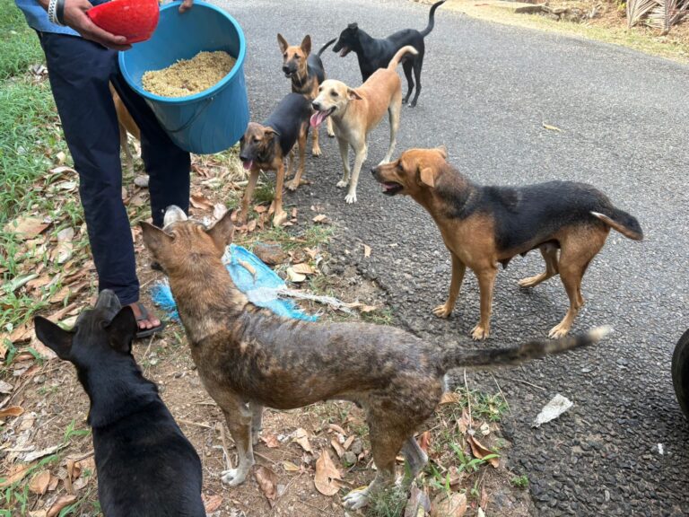 WhatsApp Image 2025-09-03 at 12.26.23 PM